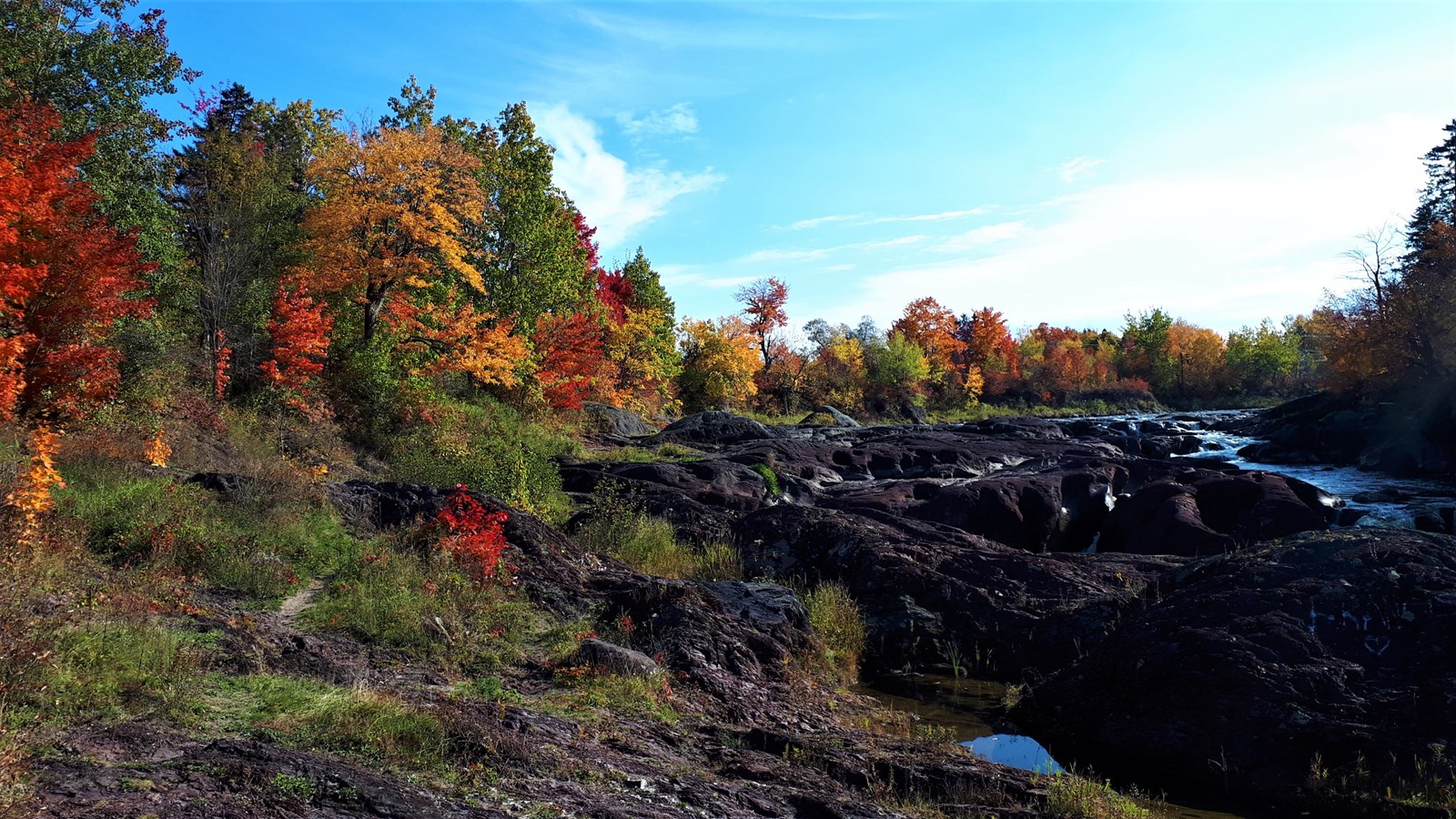 Photorama 3 : l'automne tout en couleur !