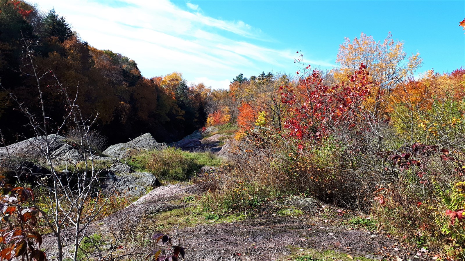 Photorama 3 : l'automne tout en couleur !