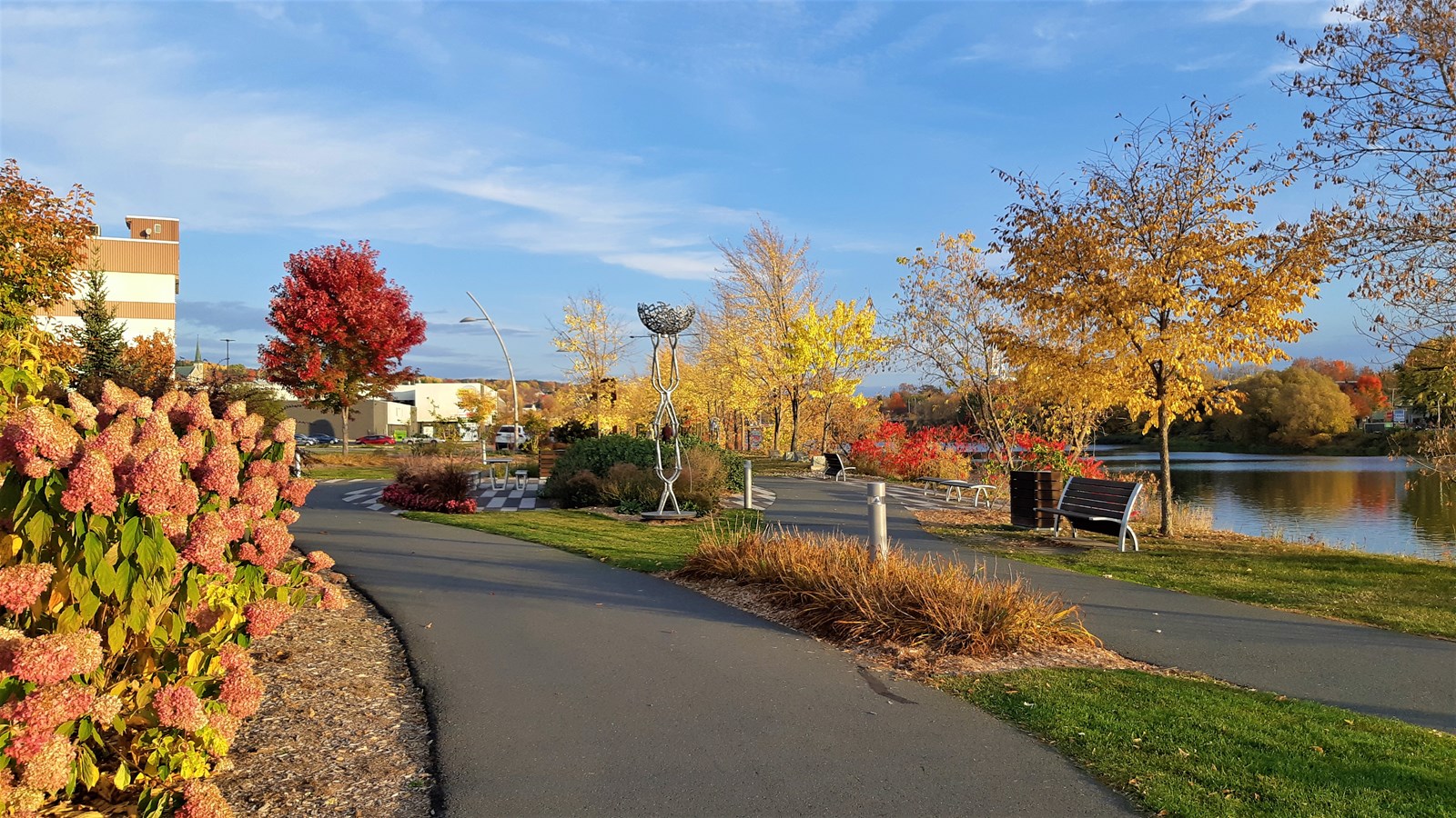 Photorama 4 : l'automne tout en couleur !