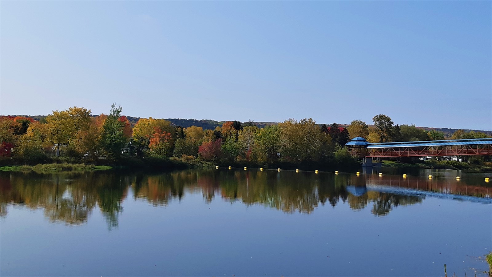 Photorama 4 : l'automne tout en couleur !