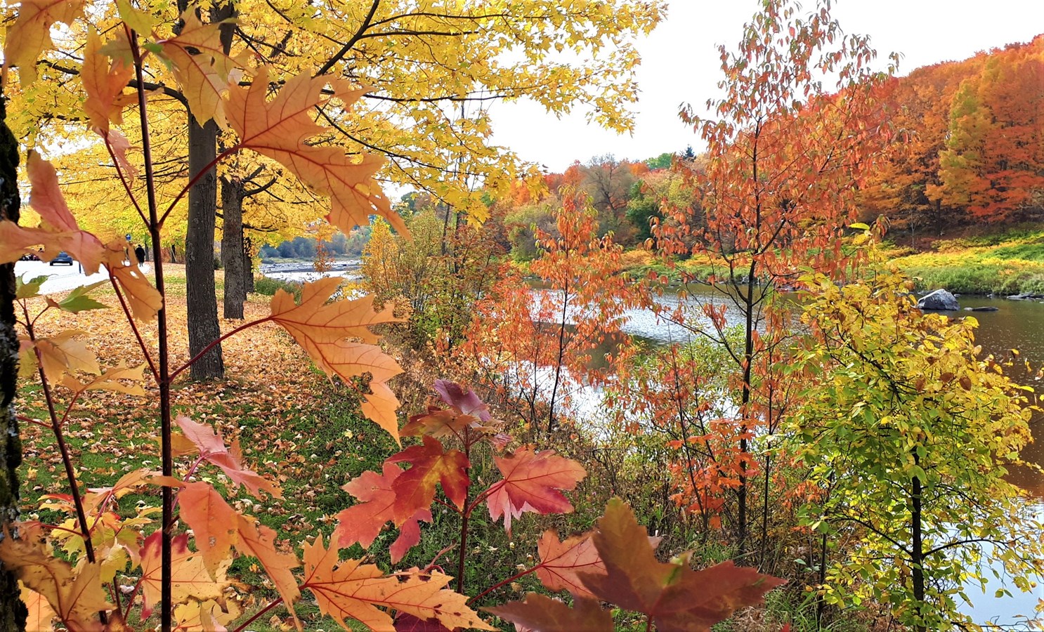 Photorama 4 : l'automne tout en couleur !