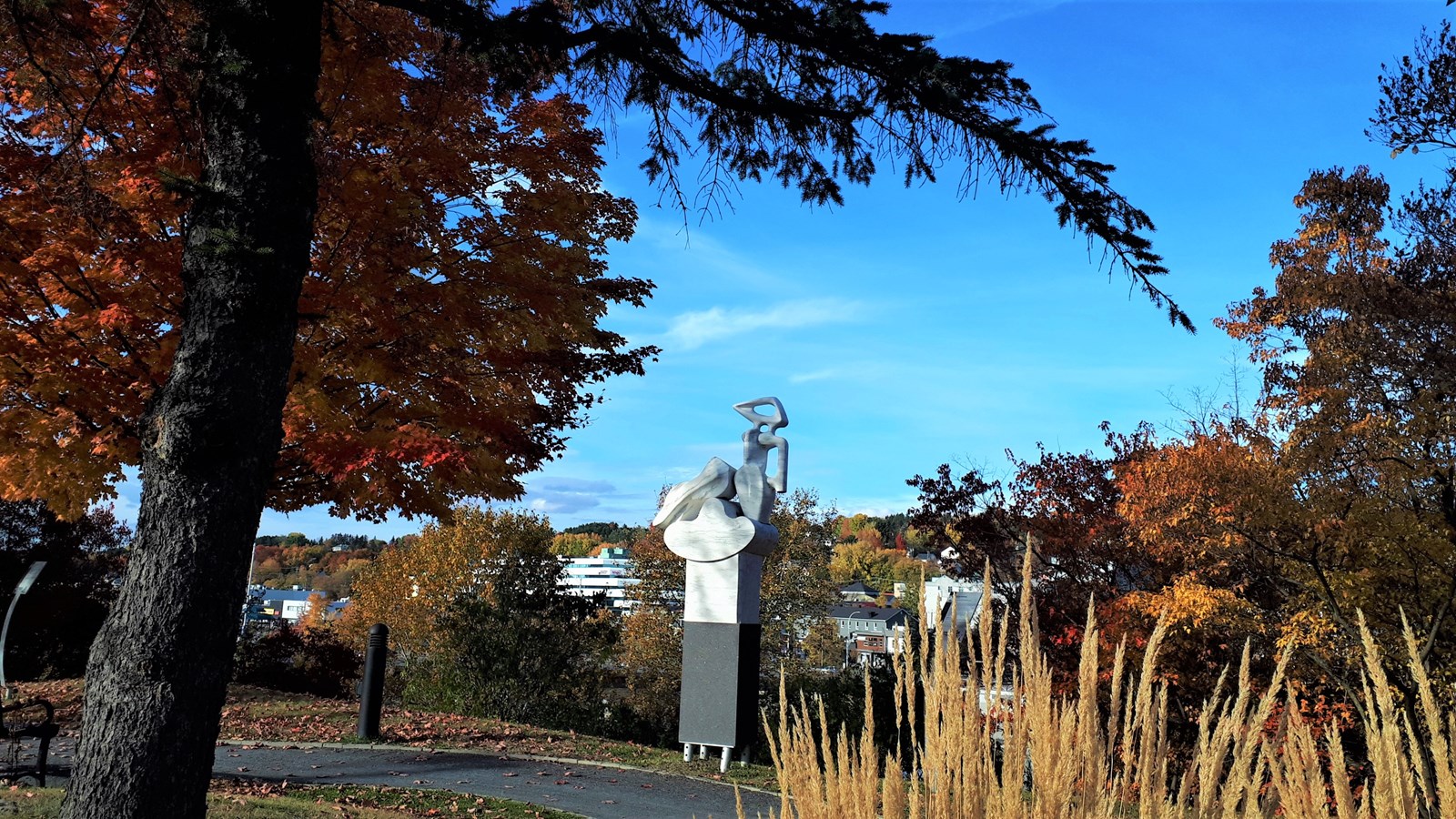 Photorama 4 : l'automne tout en couleur !