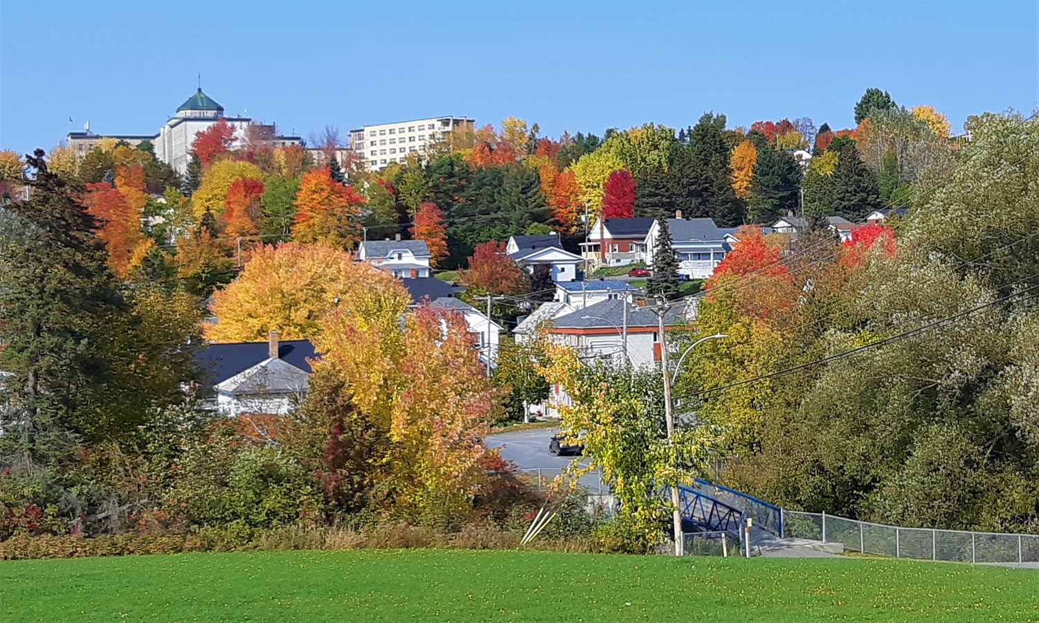 Photorama 4 : l'automne tout en couleur !
