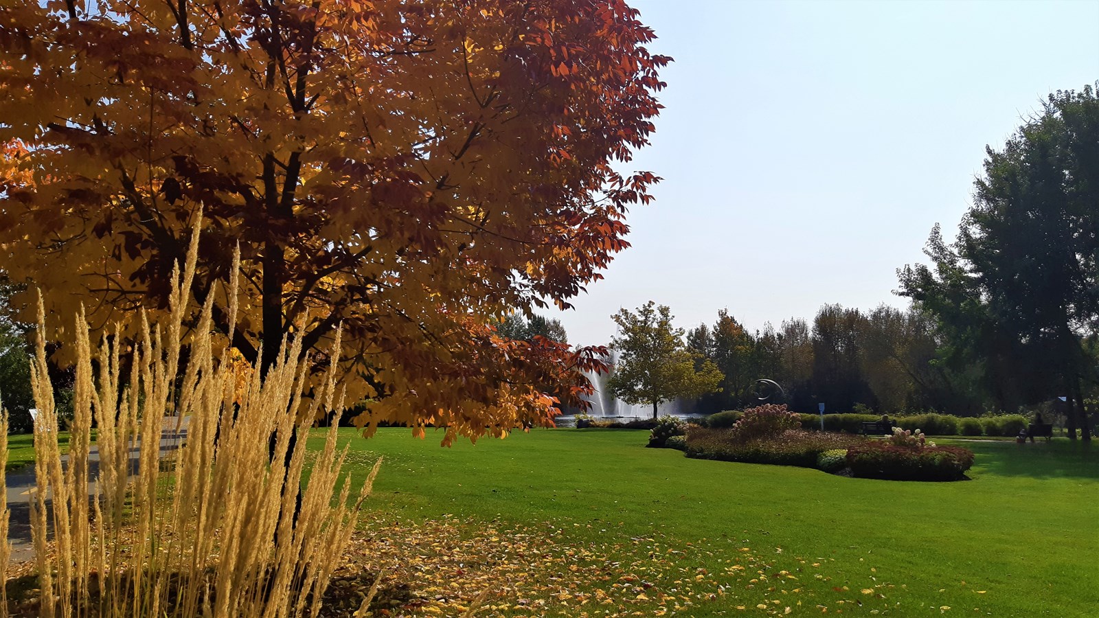 Photorama 4 : l'automne tout en couleur !