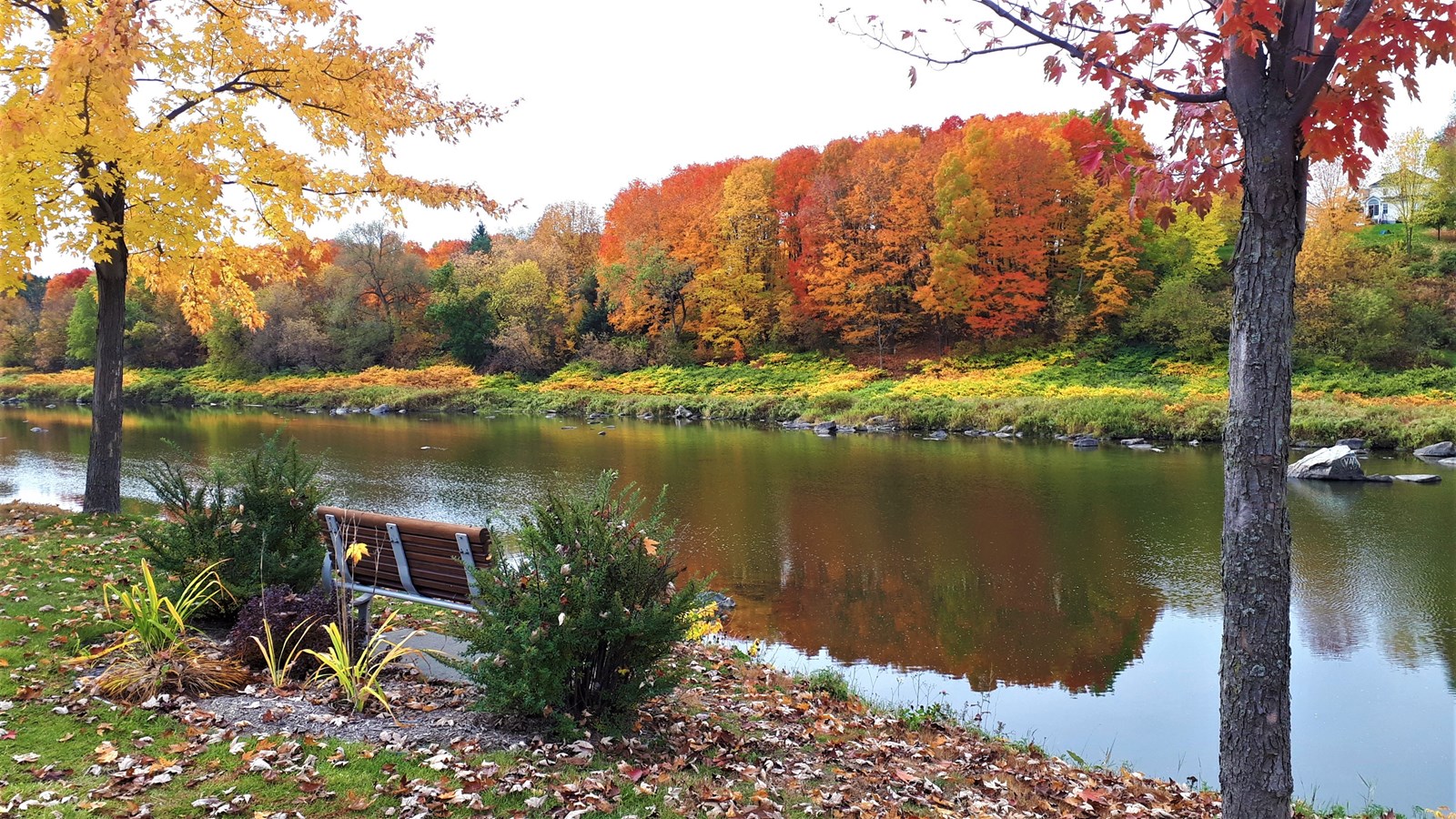 Photorama 4 : l'automne tout en couleur !