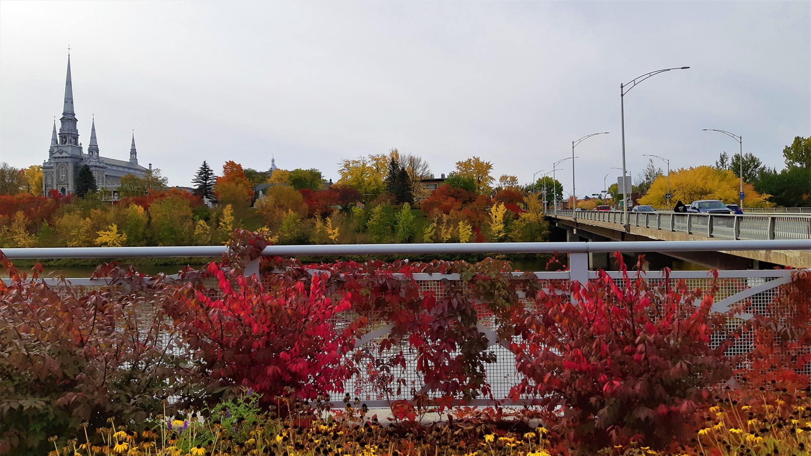Photorama 4 : l'automne tout en couleur !