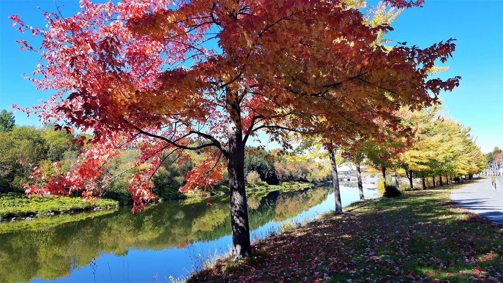 Photorama 4 : l'automne tout en couleur !