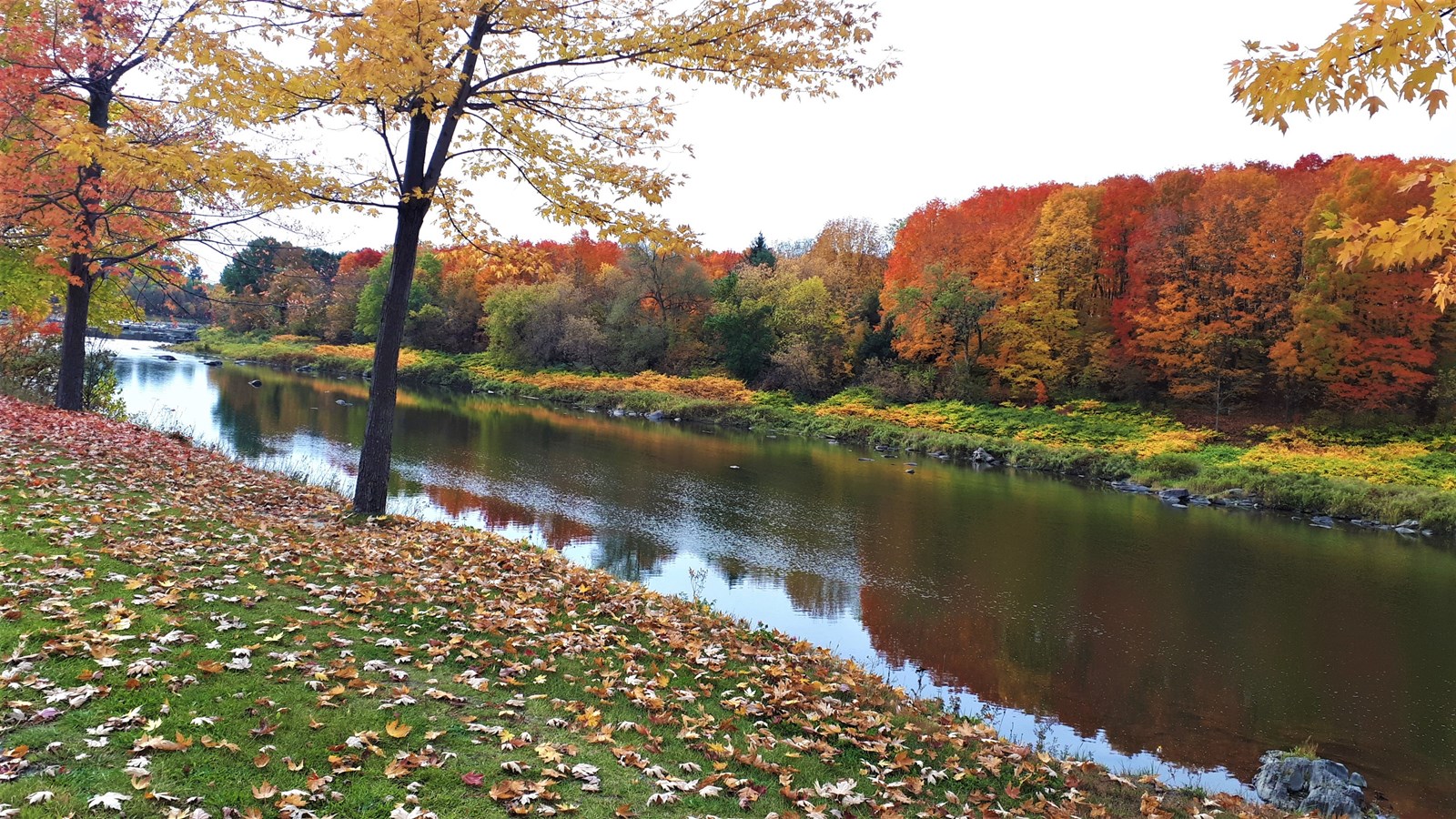 Photorama 4 : l'automne tout en couleur !