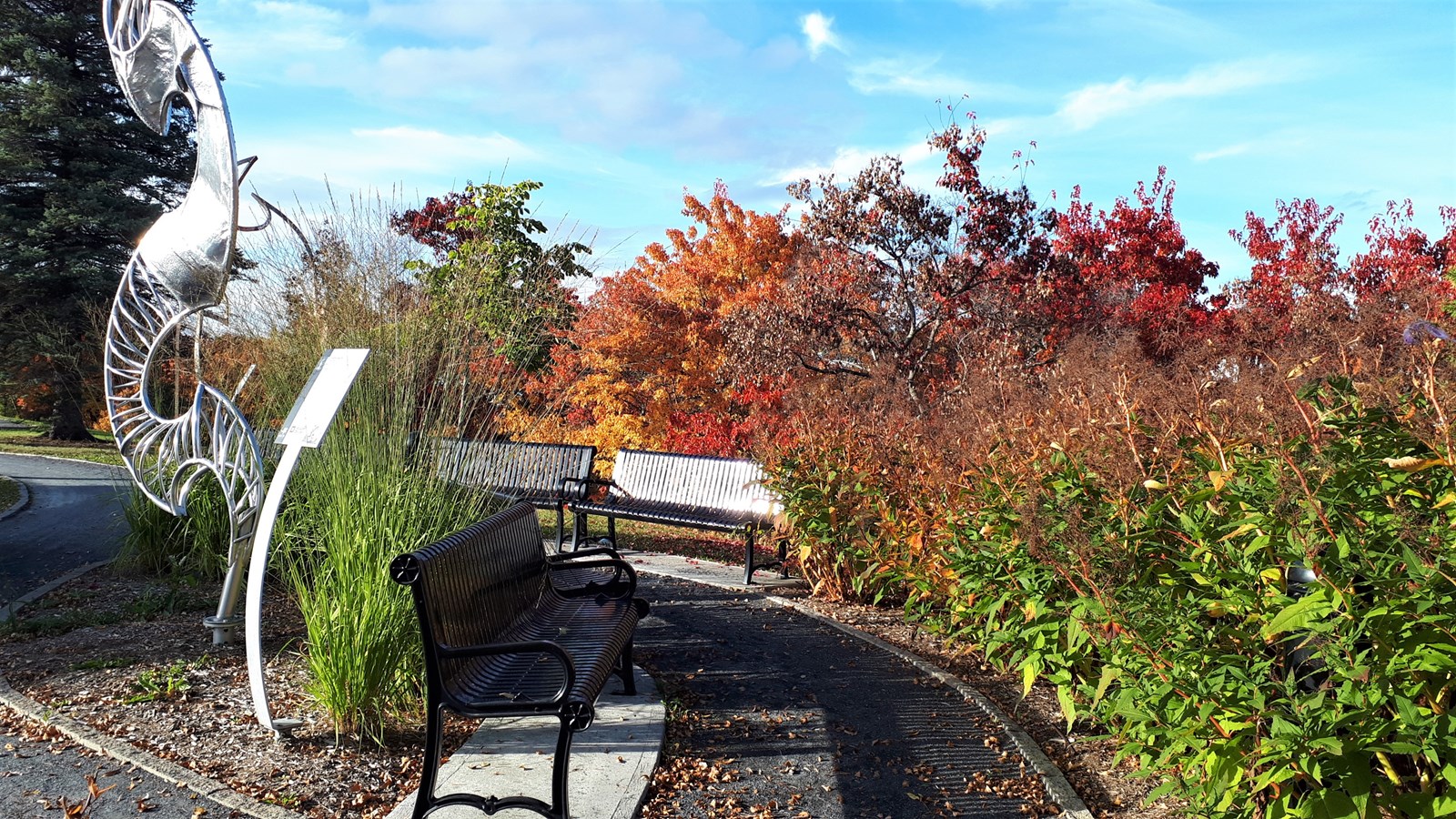 Photorama 4 : l'automne tout en couleur !