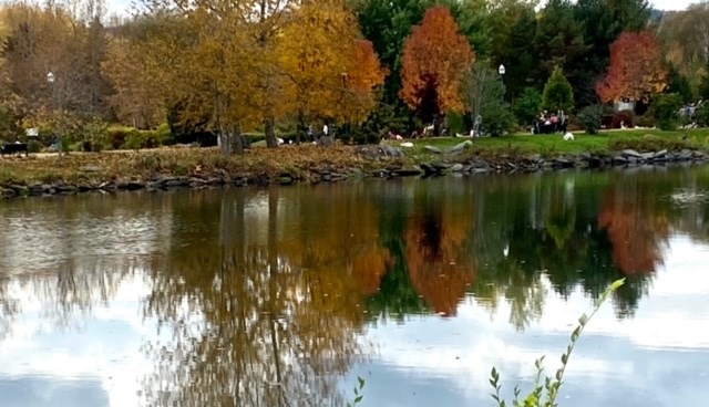Photorama 5 : l'automne tout en couleur !