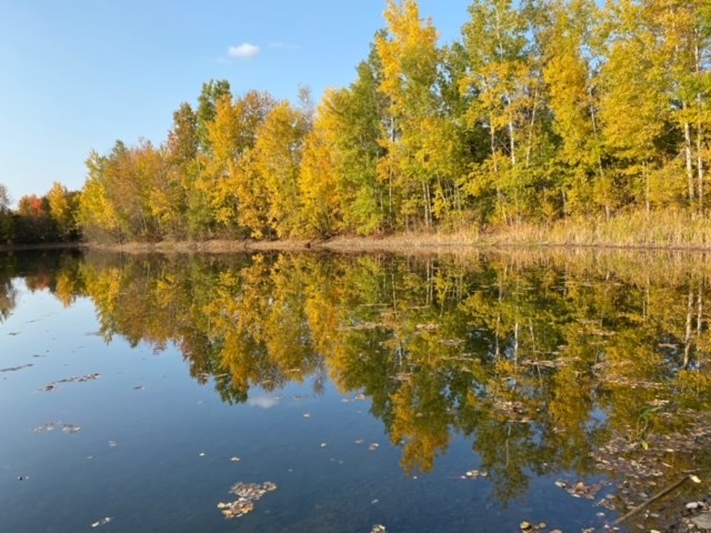Photorama 5 : l'automne tout en couleur !