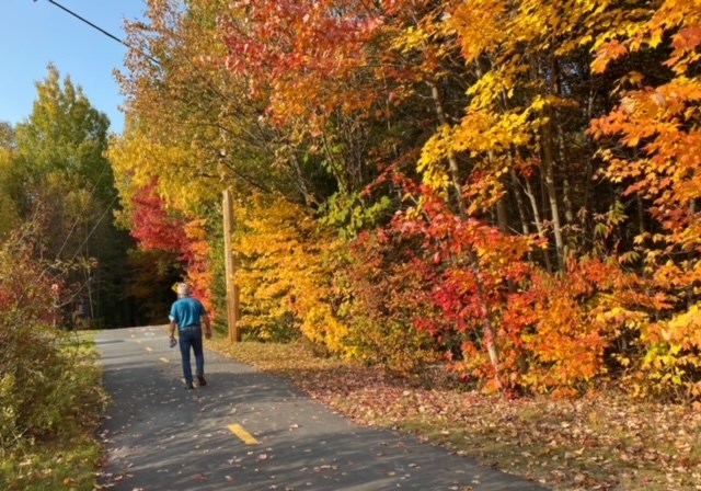Photorama 5 : l'automne tout en couleur !