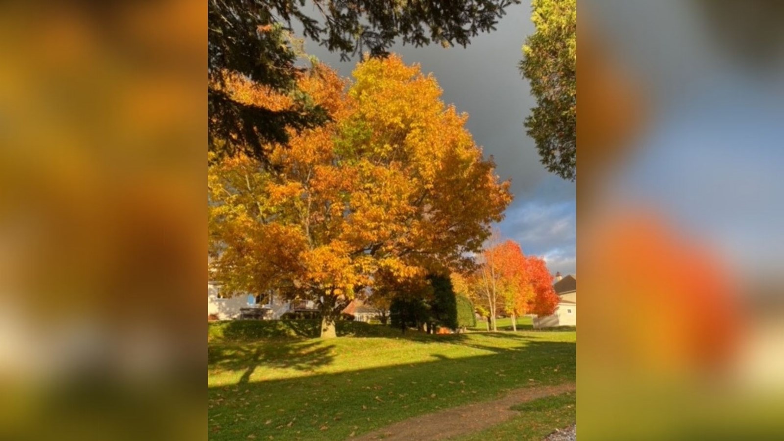 Photorama 5 : l'automne tout en couleur !
