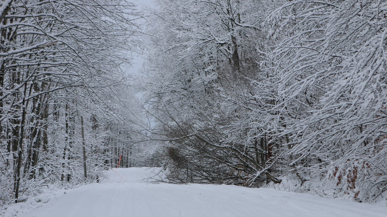 Difficile début d'hiver pour les usagers de la route