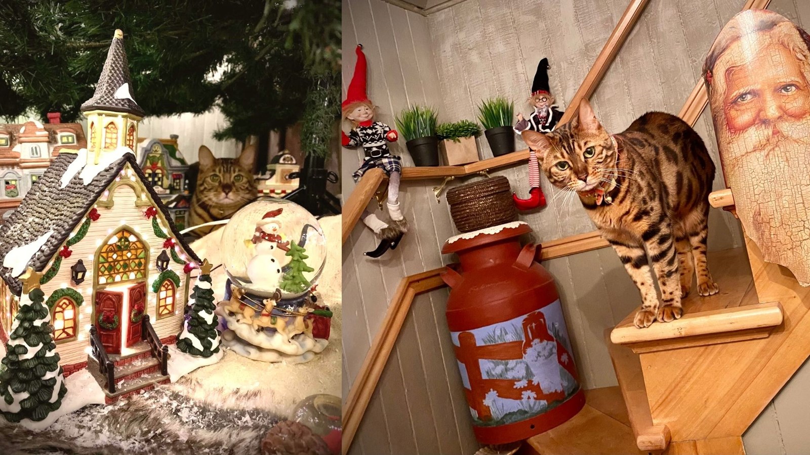 Photorama 1 : la féérie de Noël par les Beaucerons