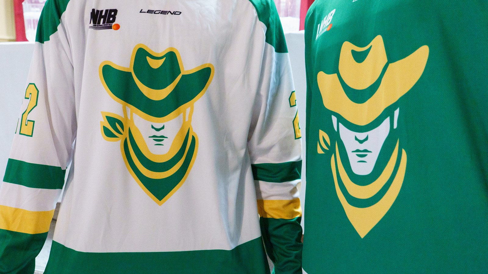 Une équipe de la Ligue nationale de hockey balle s’installe en Beauce