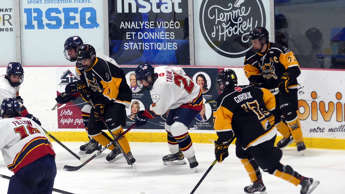 Les Chevaliers s'inclinent en finale