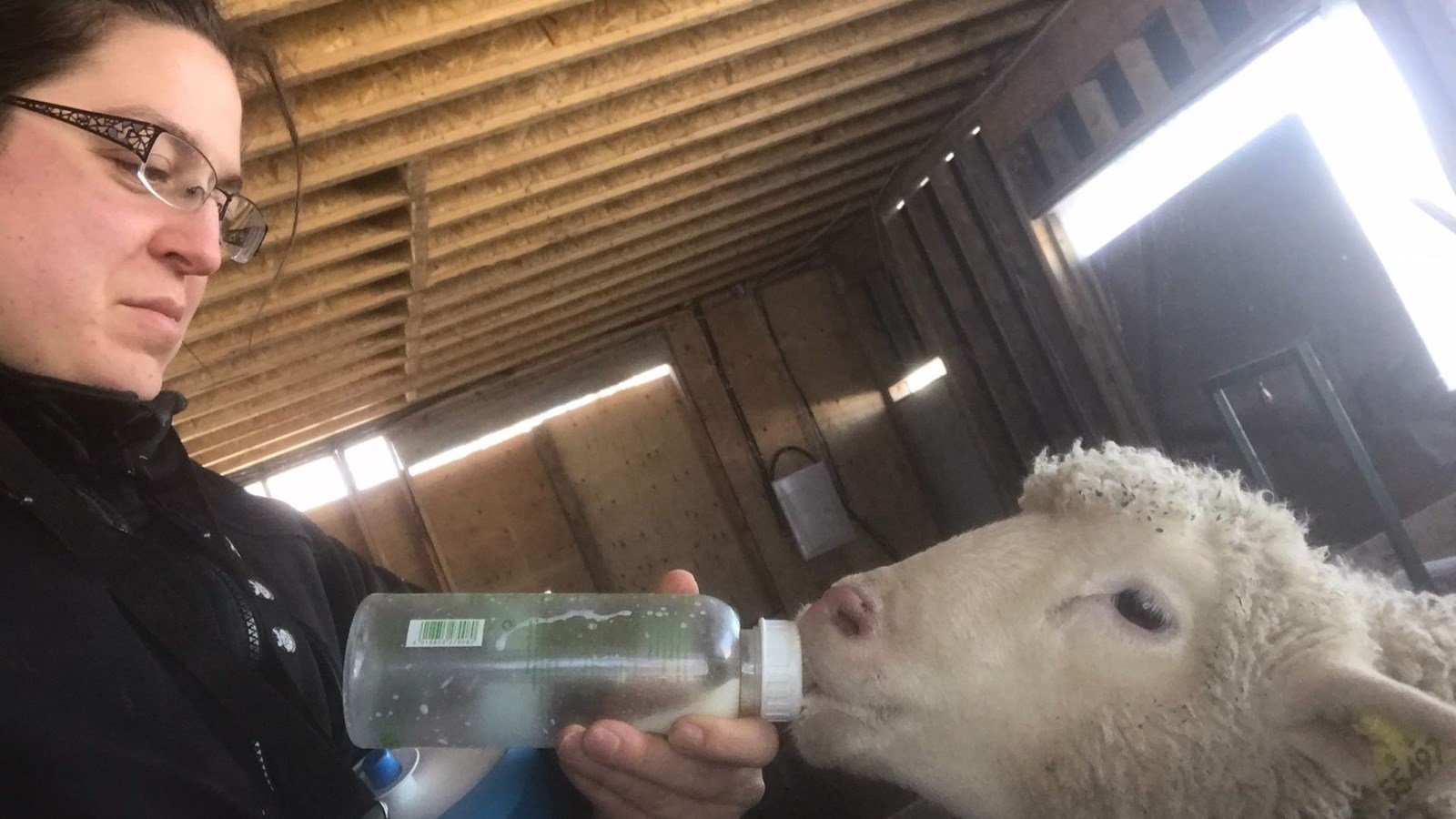 Une ferme de Saint-Prosper en péril