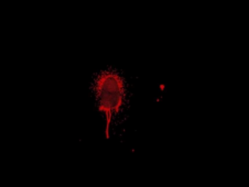 La bannière du groupe Facebook « Les lecteurs de romans Noir/Horreur/Policier ».