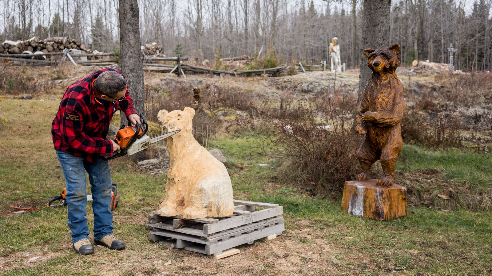 Daniel Gamsby ou la passion de sculpter à la scie à chaîne