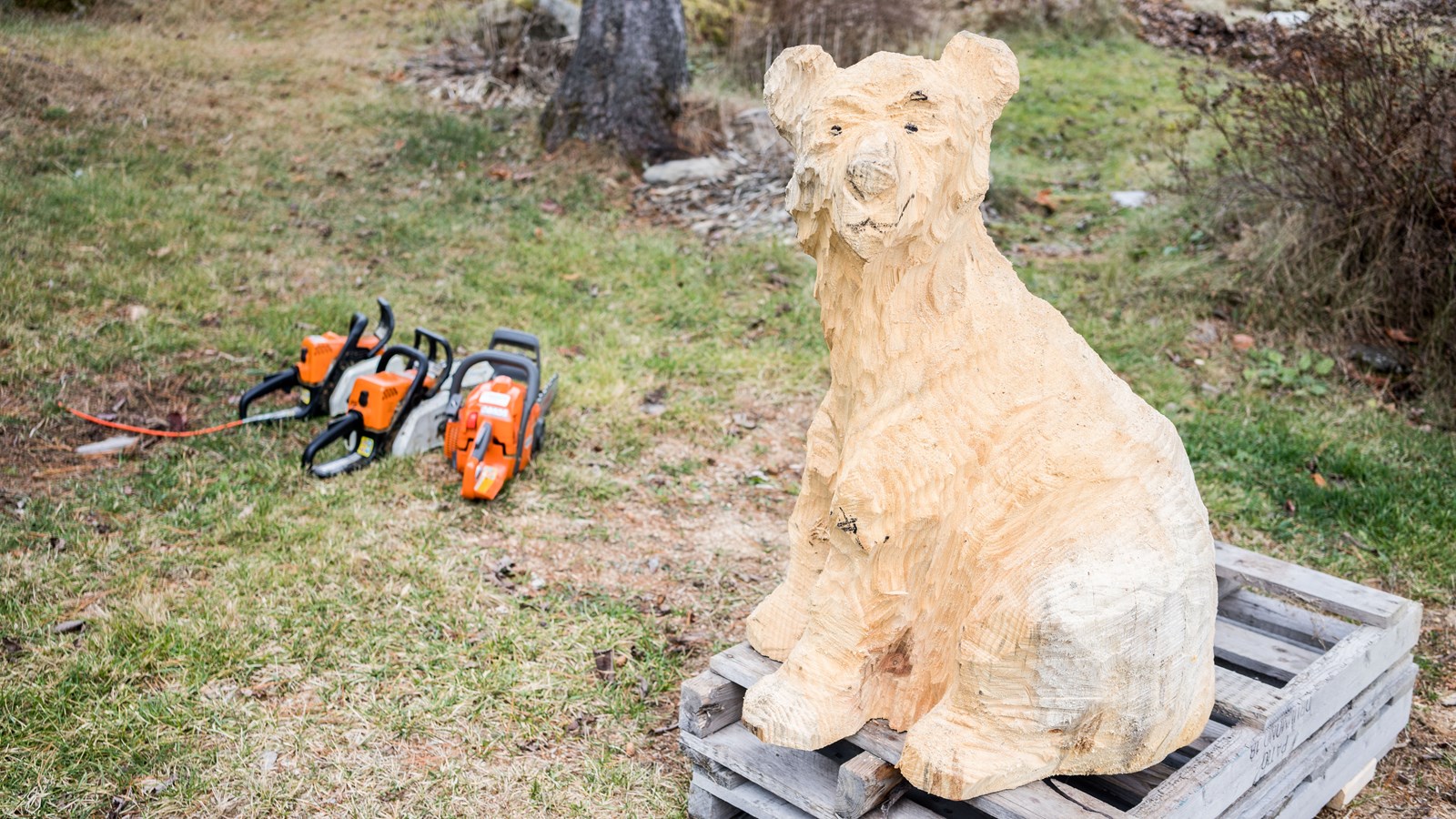 Daniel Gamsby ou la passion de sculpter à la scie à chaîne