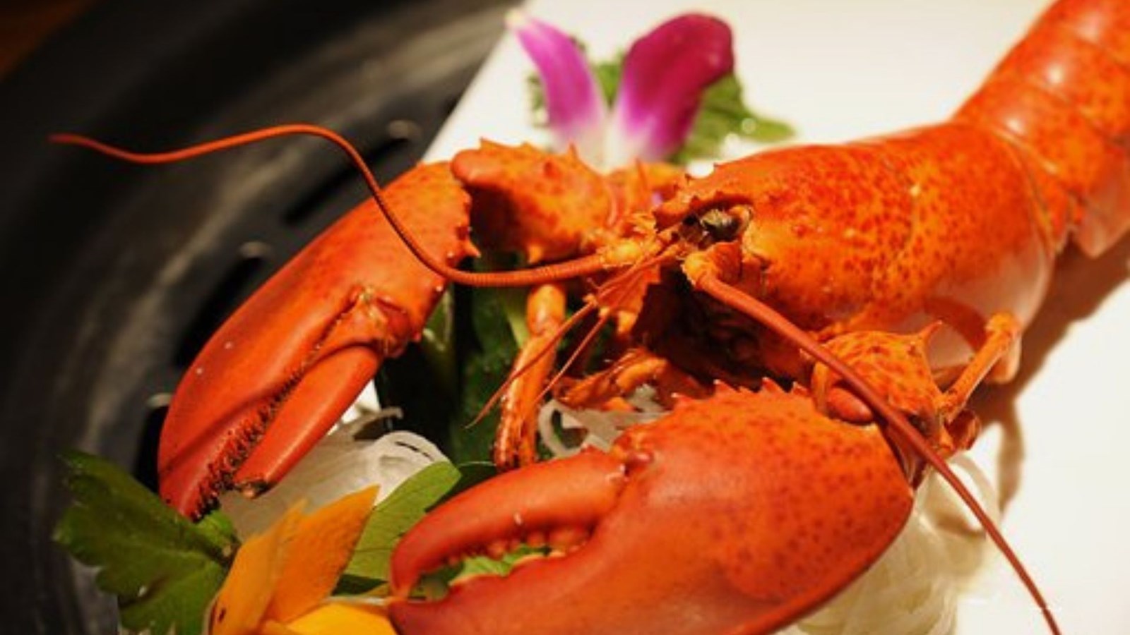 Un 13e souper-bénéfice au homard en version « pour emporter »