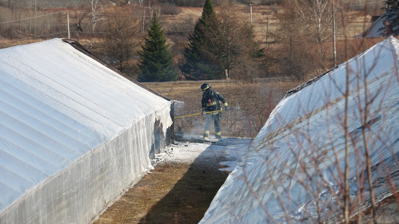 Incendie aux Serres Bégin : deux serres complètement détruites