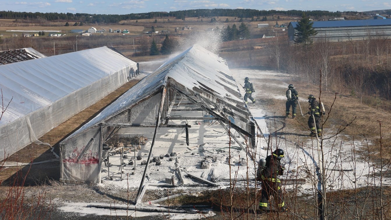 Incendie aux Serres Bégin : deux serres complètement détruites