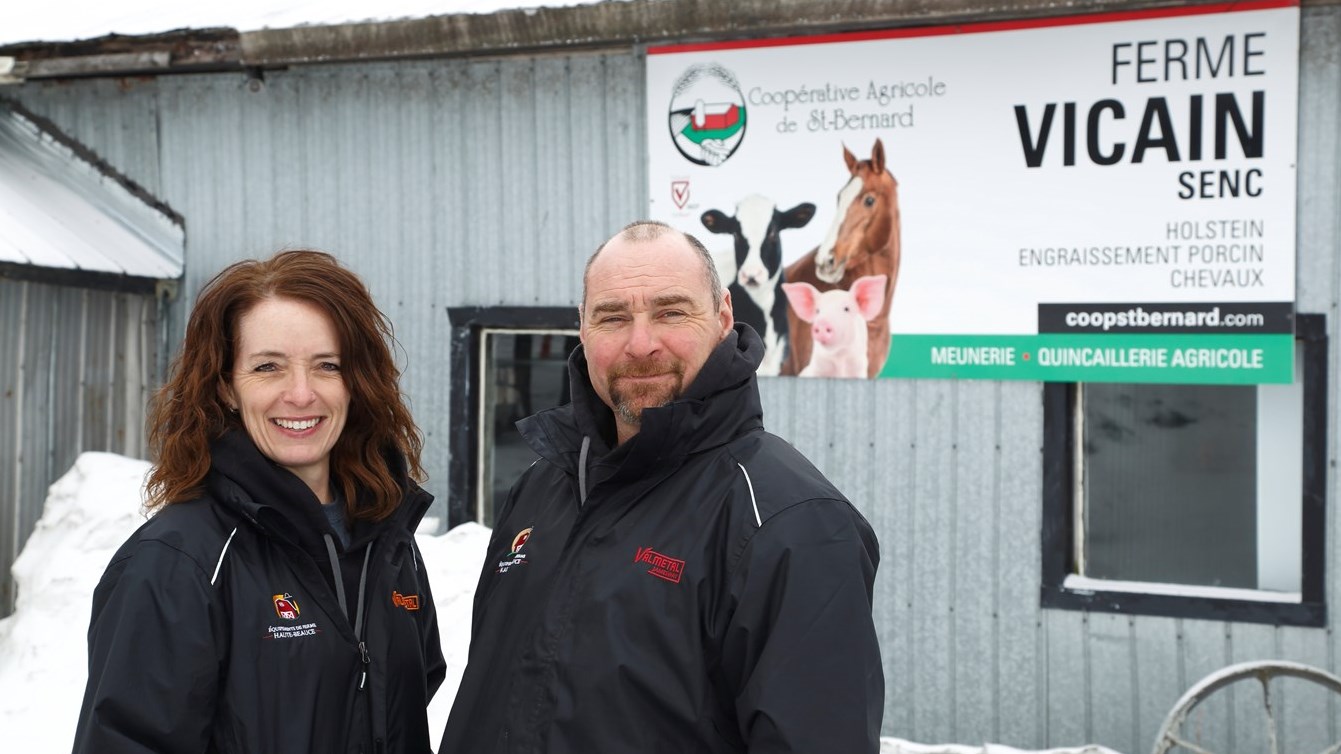 Vicky Grondin et Alain Couture sont propriétaires de la Ferme Vicain. Ils y élèvent des porcs depuis 20 ans et des vaches laitières depuis 10 ans.