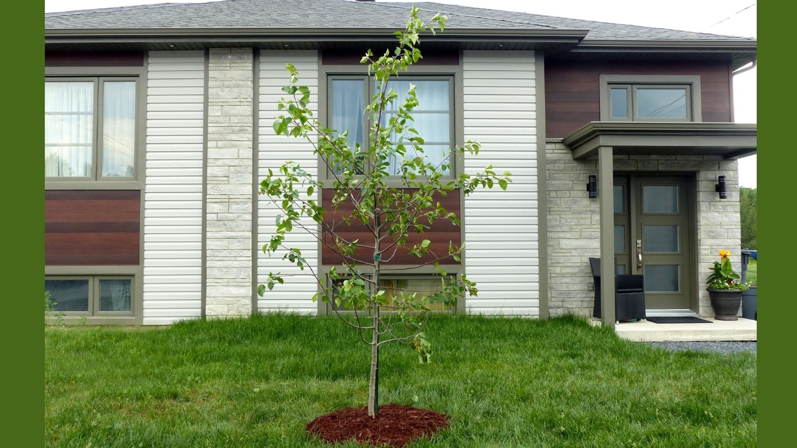Un nombre record de participants cette année pour « Un arbre pour l’avenir »