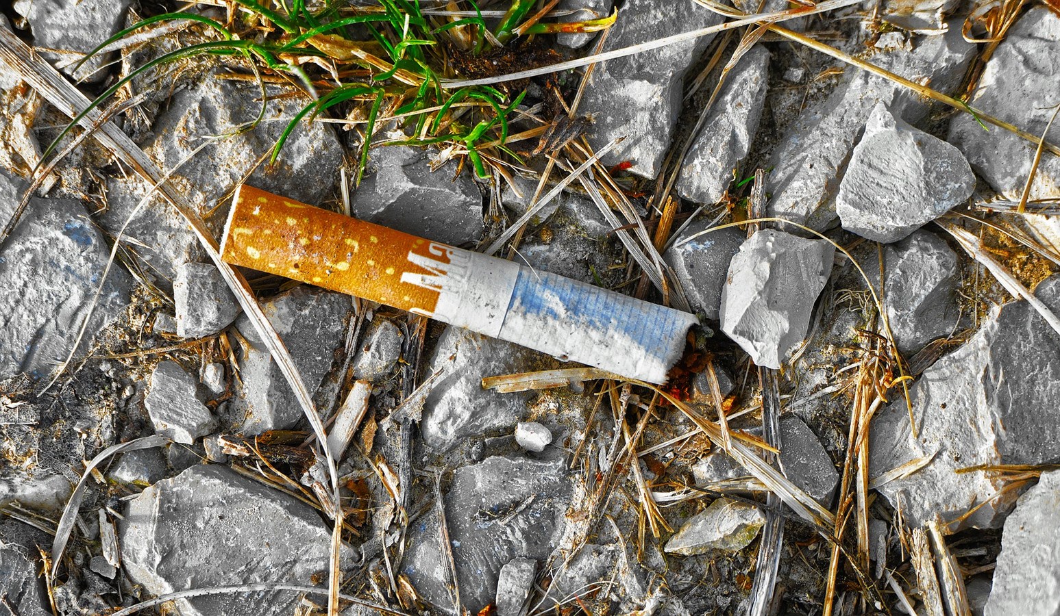 Les mégots de cigarette demeurent une cause importante de feu de végétation