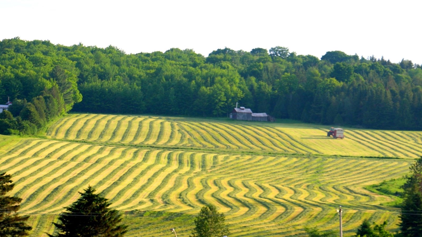 L'agriculture, c'est photogénique! Envoyez-nous vos clichés