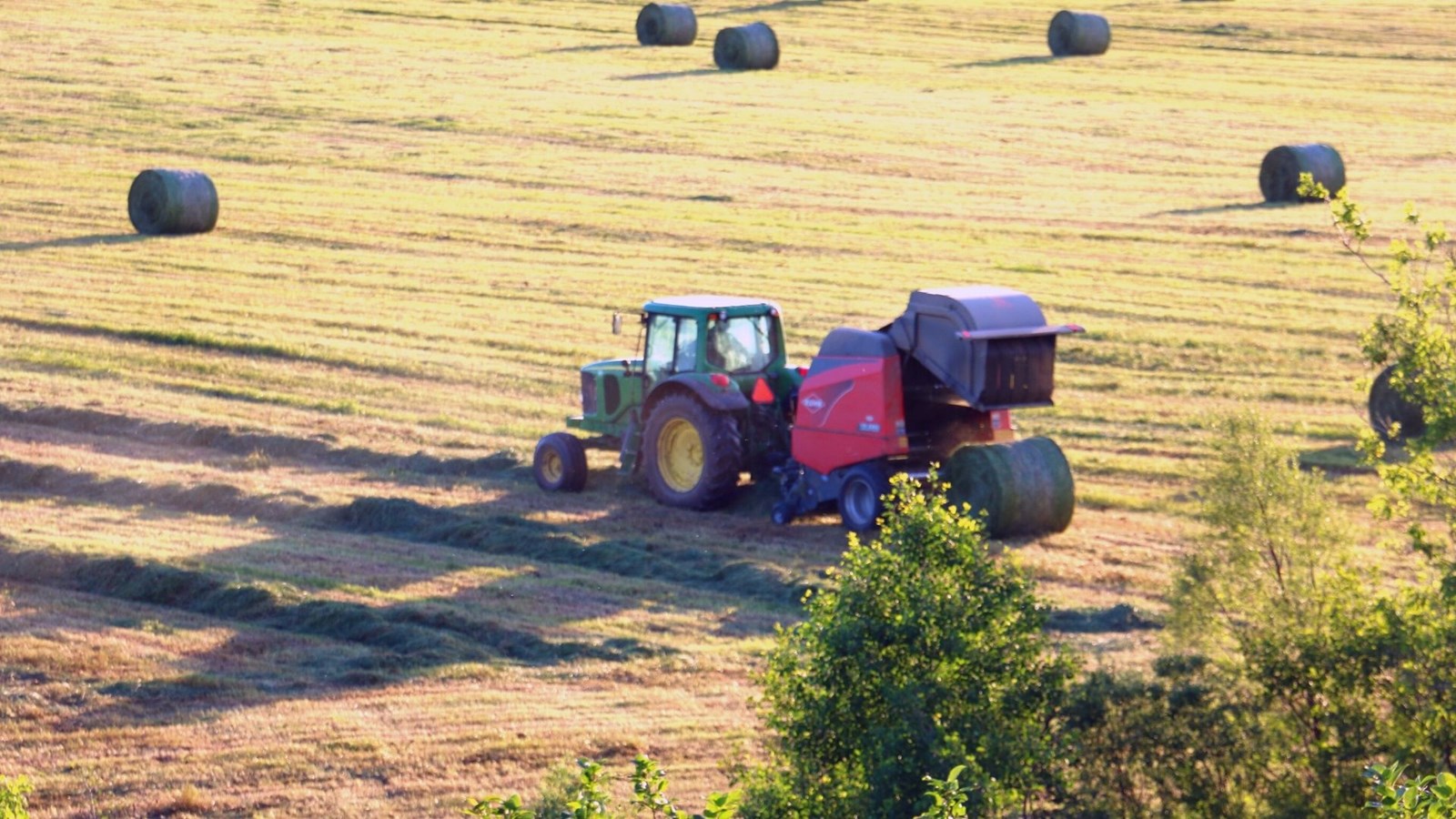 L'agriculture, c'est photogénique! Envoyez-nous vos clichés
