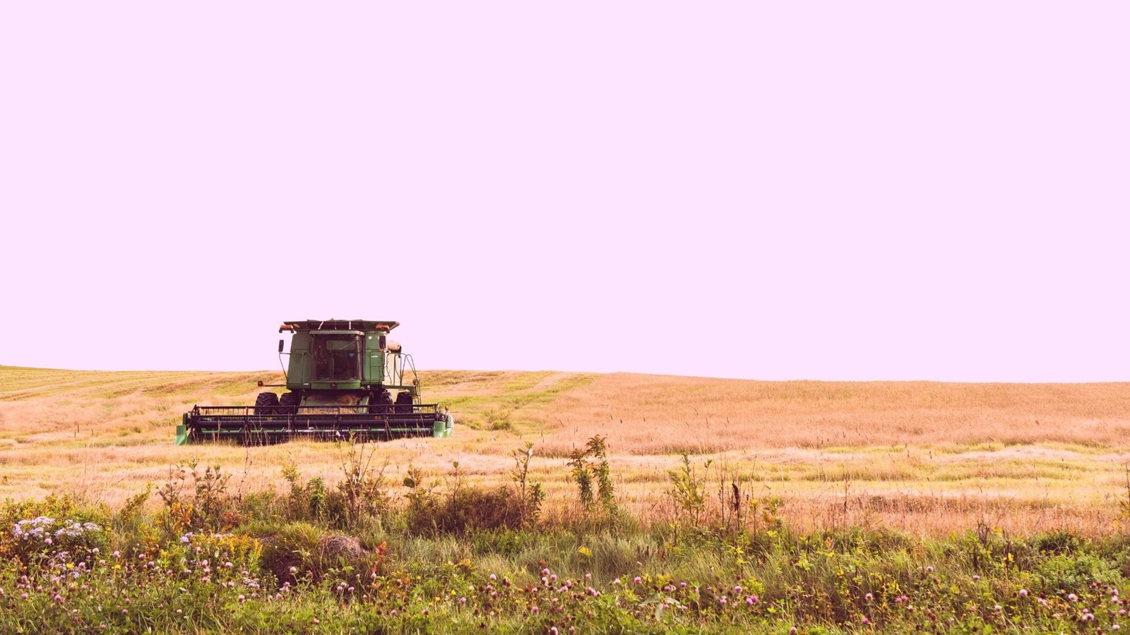 L'agriculture, c'est photogénique! Envoyez-nous vos clichés
