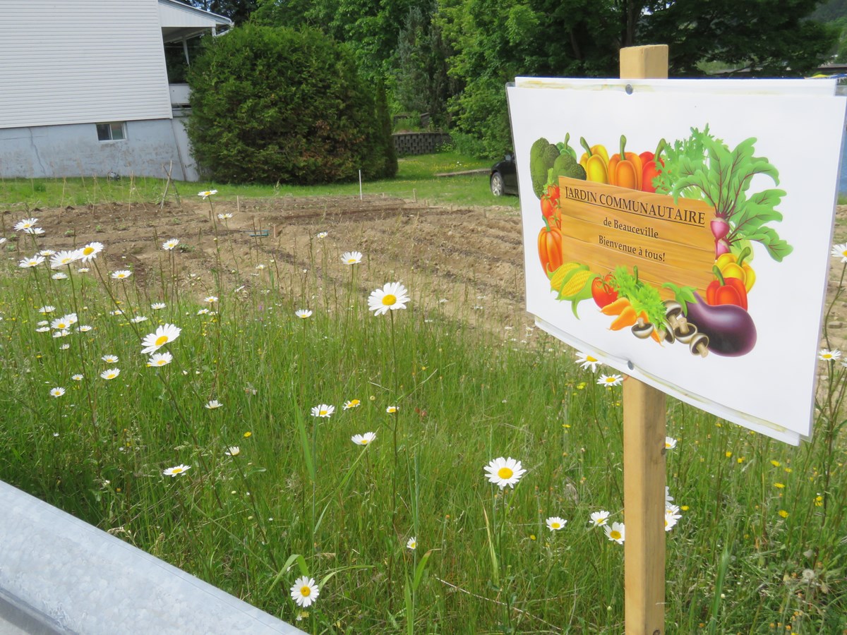 Beauceville: 11 terrains vacants ont été adoptés
