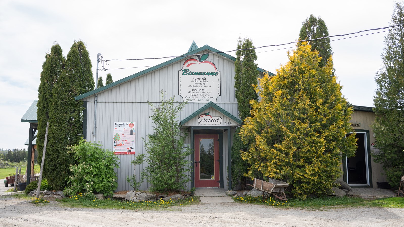 L'envers du cidre