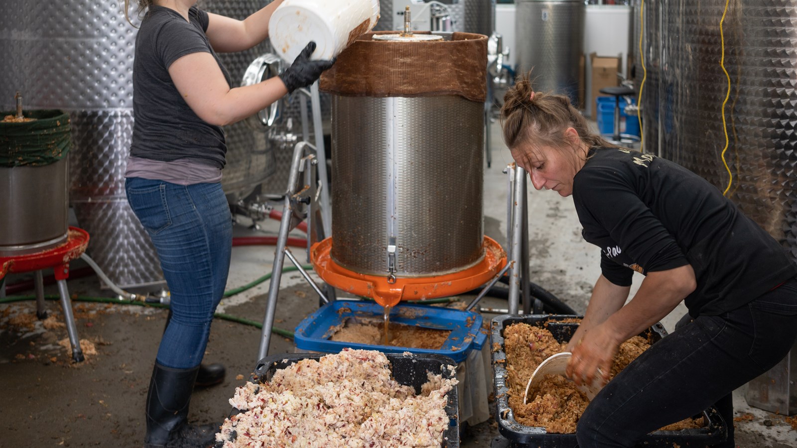 L'envers du cidre