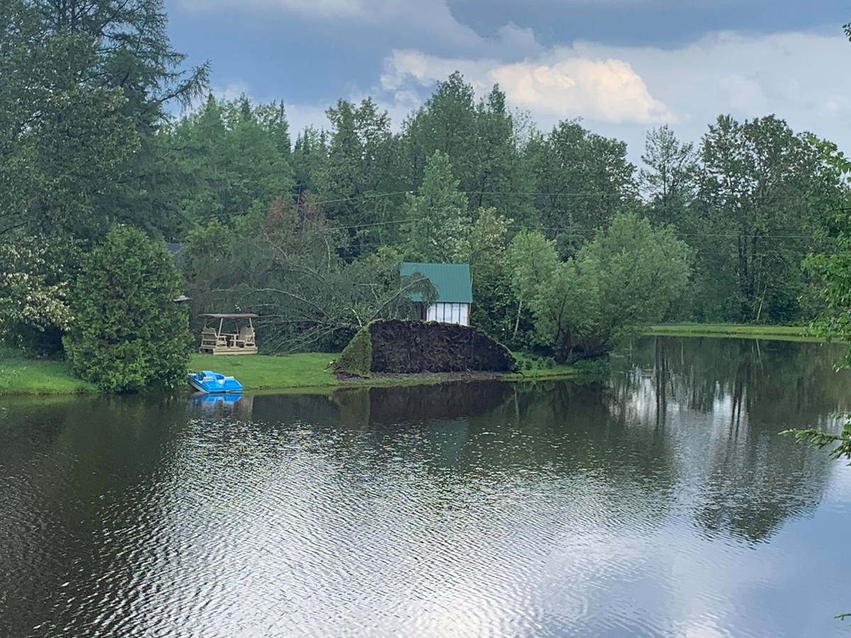 Un violent orage fait tomber les arbres à Saint-Côme-Linière