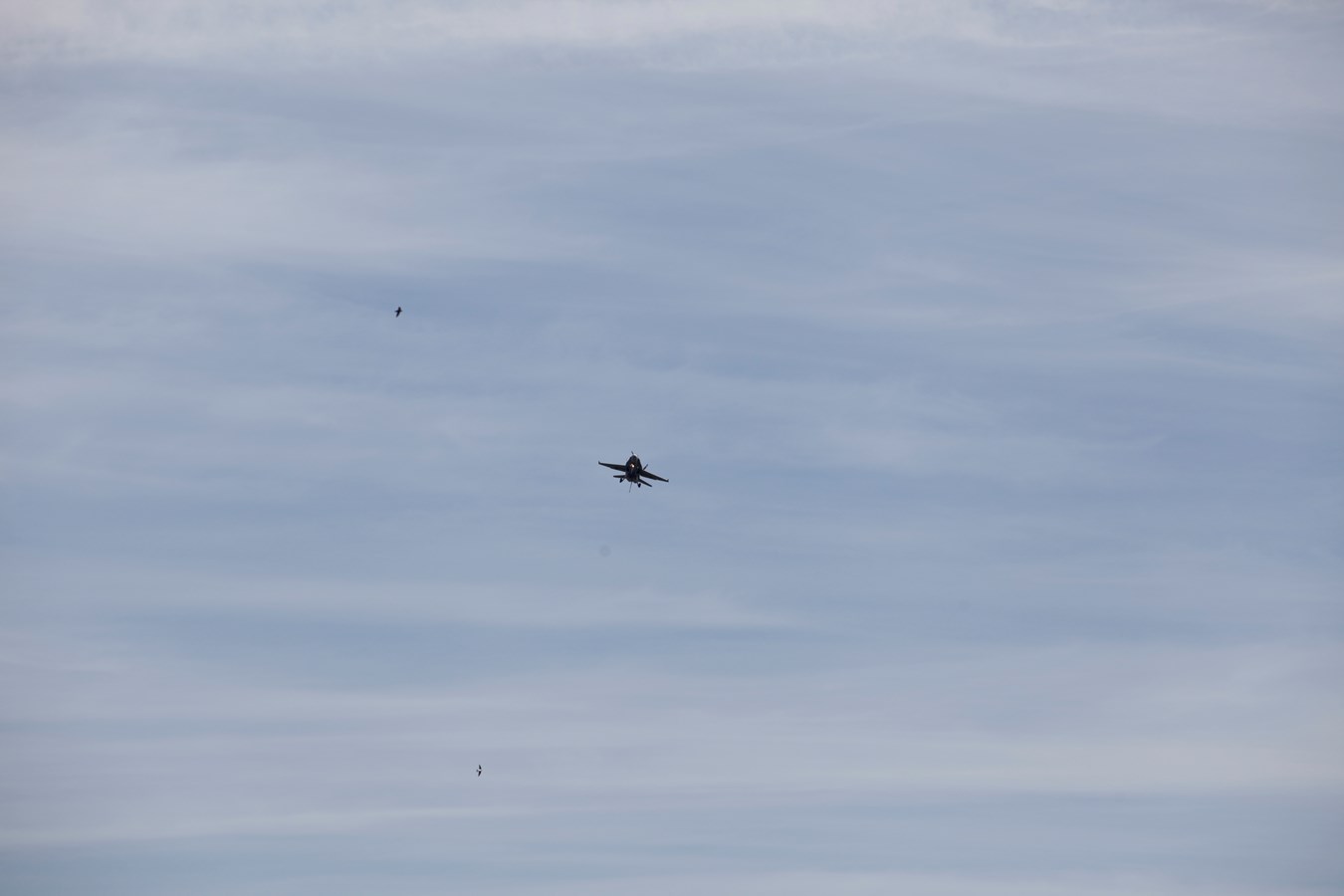 CF-18