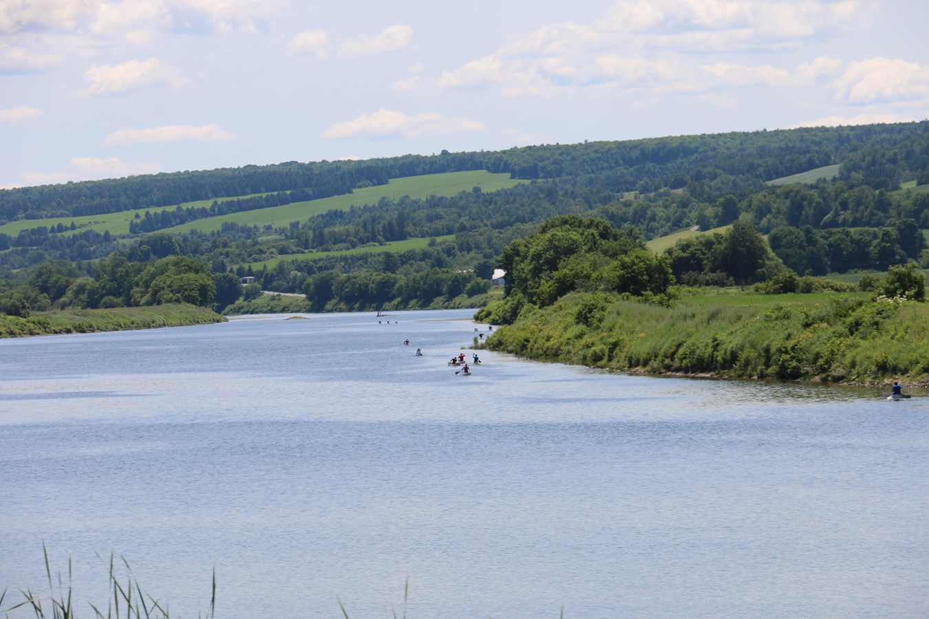 Découvrez en images la course de canot présentée à Vallée-Jonction