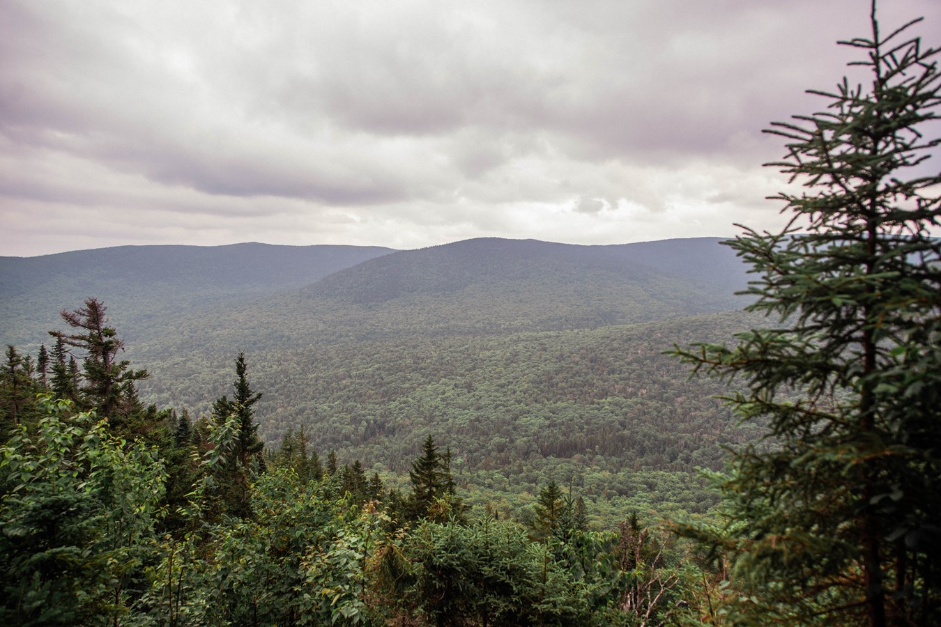 Parc régional du Massif du Sud