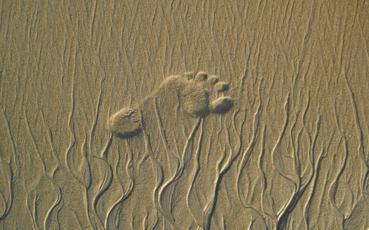 Photorama 1 : vos plages de vacances