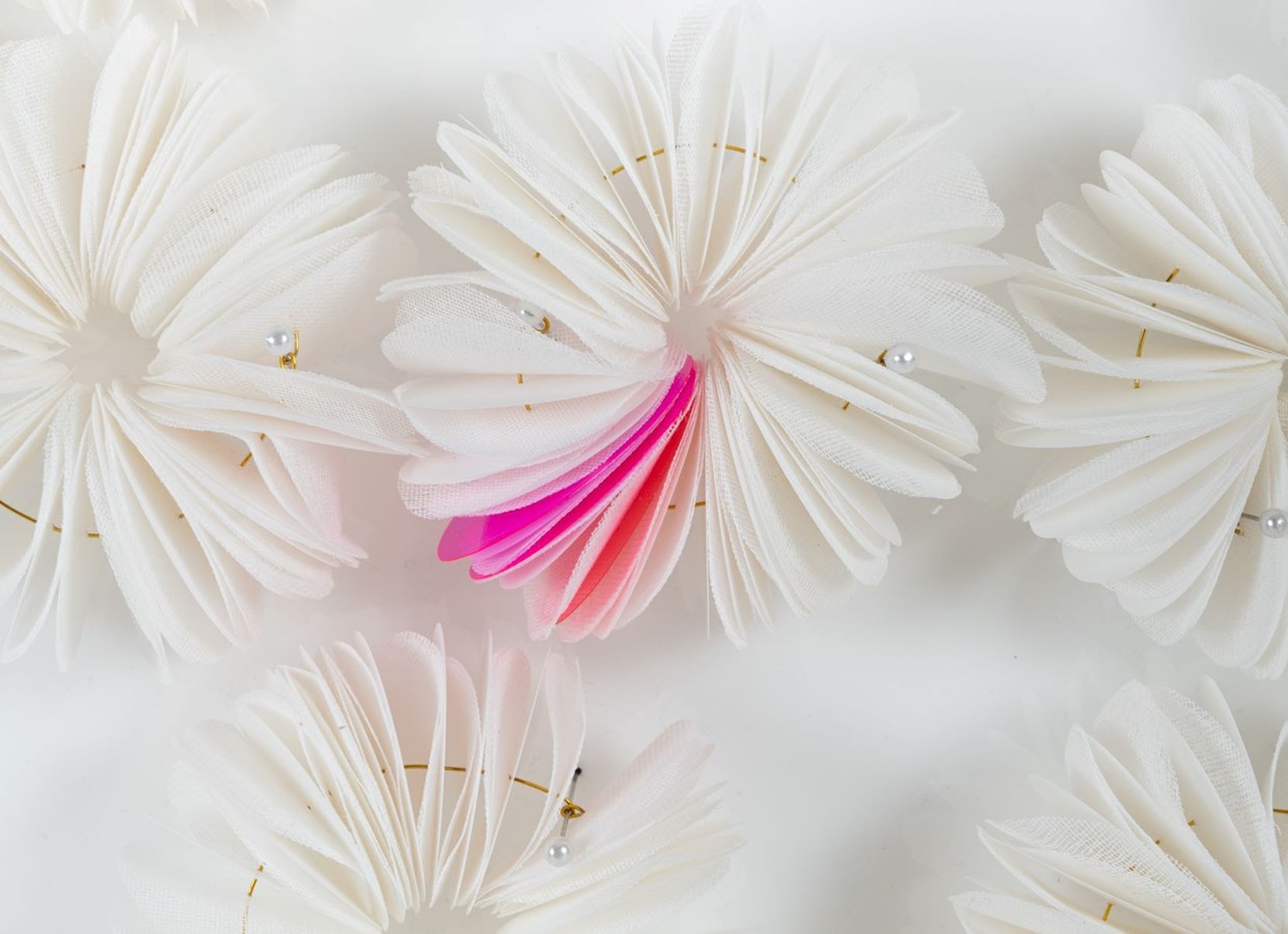 Fleurs de glace d’Anne-Yvonne Jouan