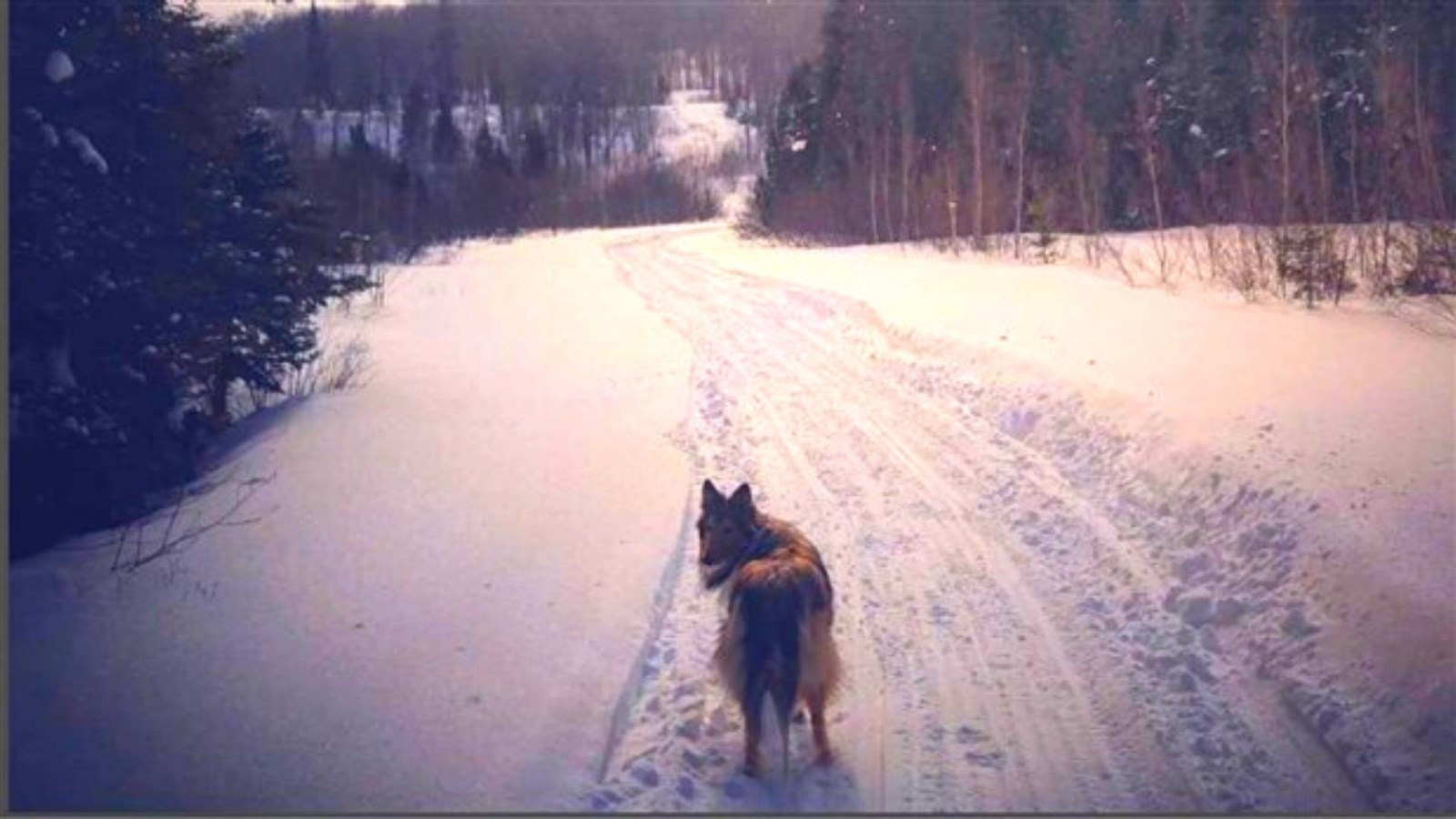 Appel pour des photos de l'hiver beauceron