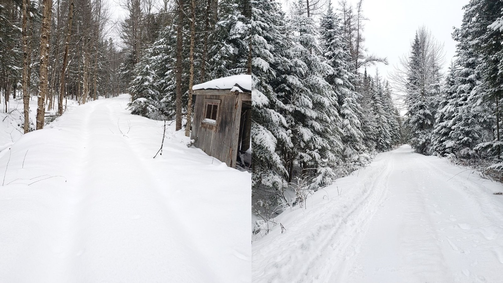 Galerie 1 : l'hiver beauceron