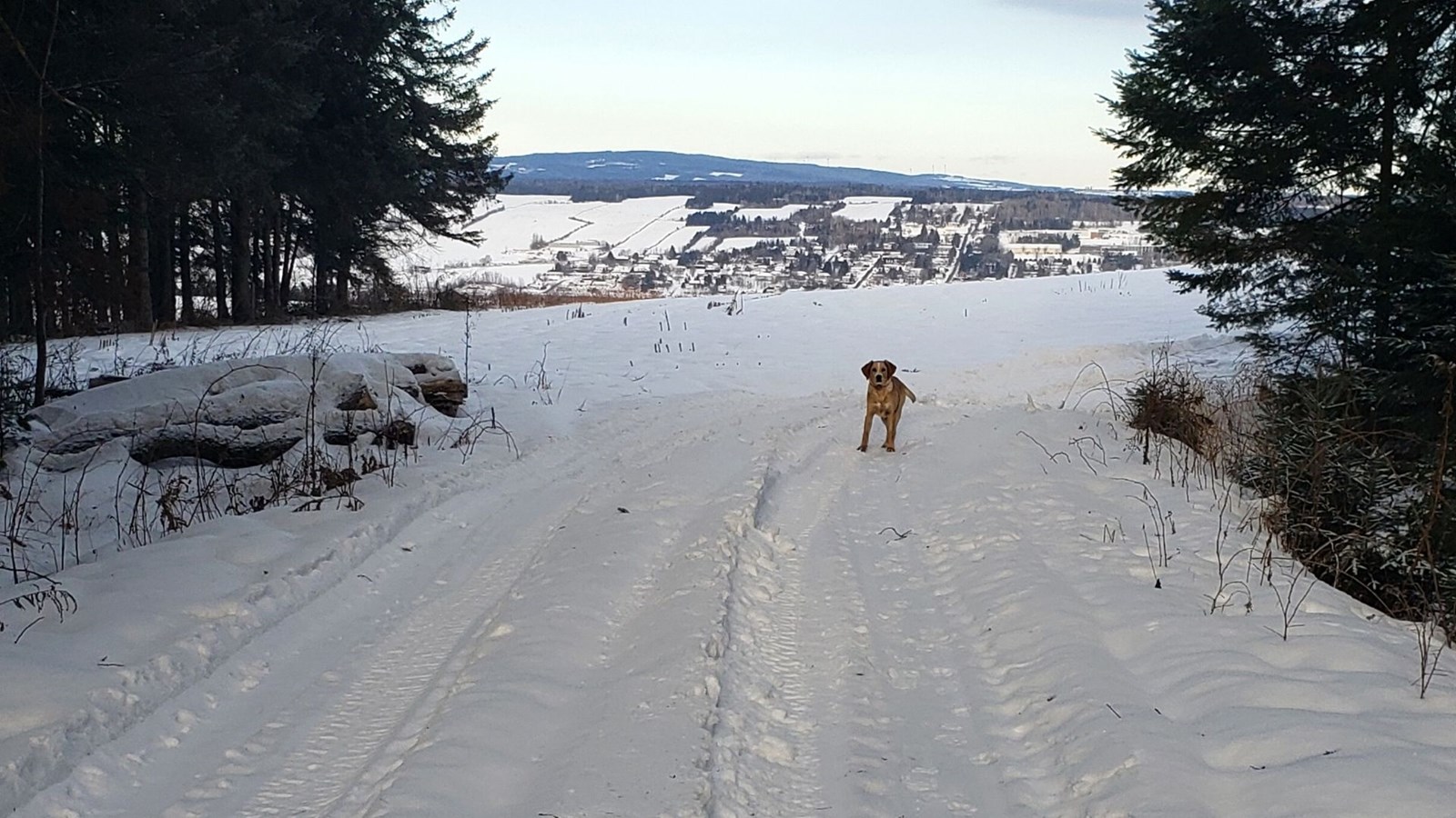 Galerie 1 : l'hiver beauceron