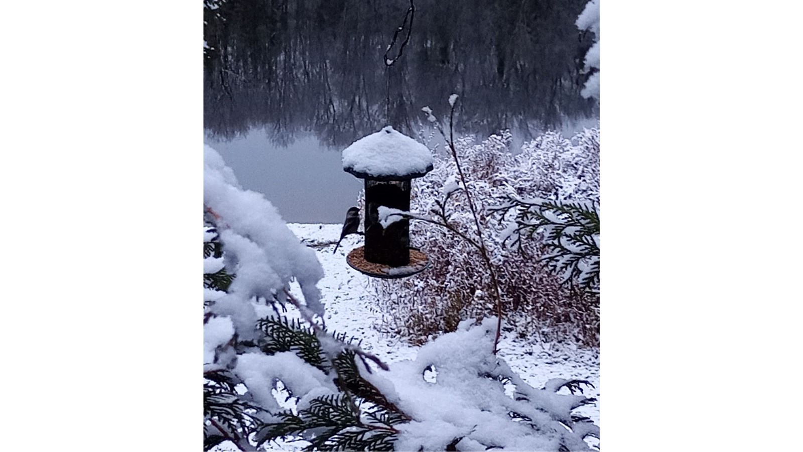 Galerie 1 : l'hiver beauceron