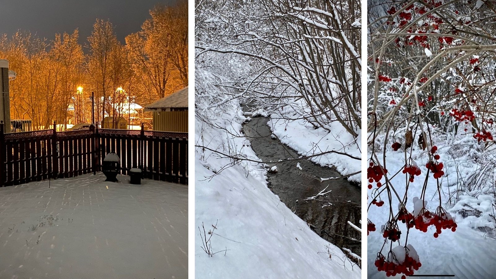 Galerie 1 : l'hiver beauceron