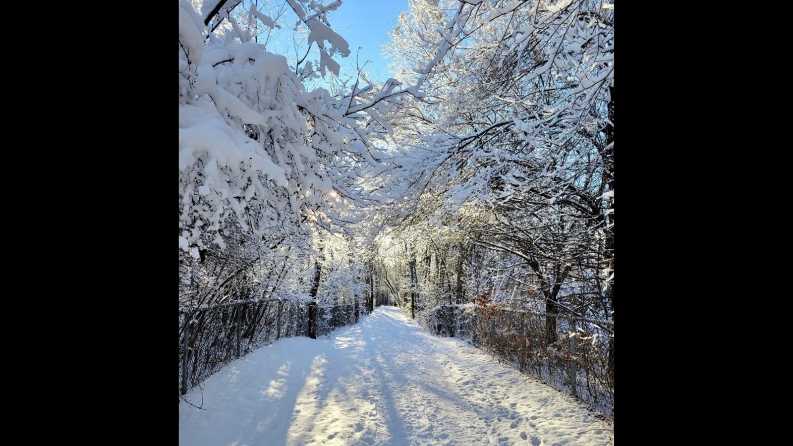 Galerie 1 : l'hiver beauceron