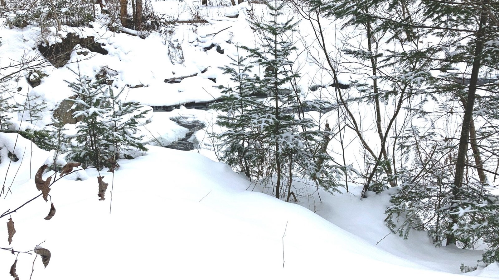 Galerie 2 : l'hiver beauceron